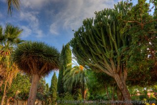 img_4266_7_8_tonemapped