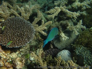 img_0967