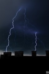 img_0050