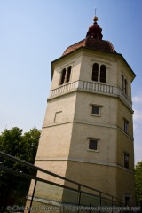 img_2398.jpg