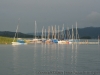 img_8460.jpg