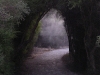 dscn1584