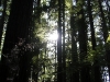dscn1599