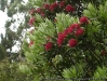 dscn1821