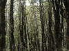 dscn1890