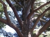 dscn2678