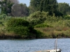 img_4975.jpg