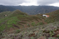 Teneriffa November 2008